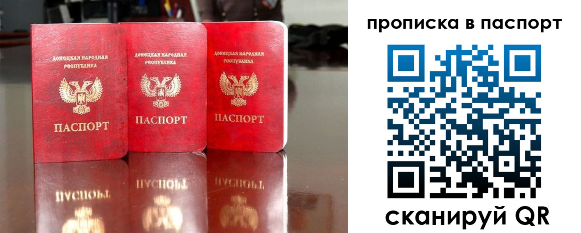 прописка поиск в Щиграх