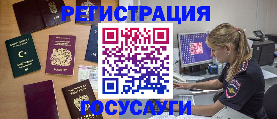 прописка для школы в Щиграх